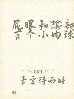 屁眼和阴部中间有个小肉球