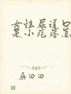 女性尿道口边全是小疙瘩怎么回事