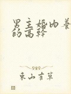 男主婚内养小三的高干