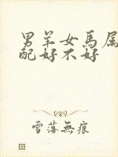 男羊女马属相婚配好不好