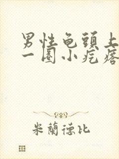 男性龟头上长了一圈小疙瘩