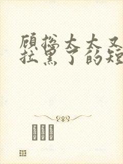 顾总太太又把你拉黑了的短剧