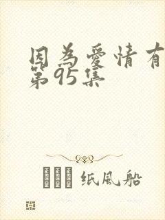 因为爱情有多美第95集