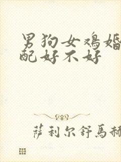 男狗女鸡婚姻相配好不好