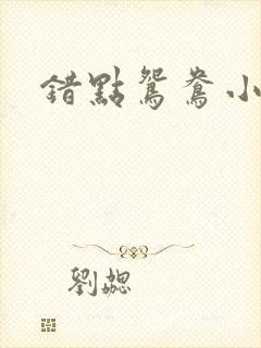 错点鸳鸯小说