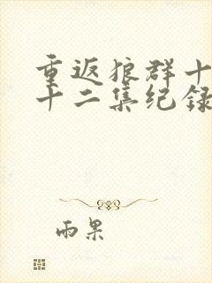 重返狼群十周年十二集纪录片完整版封面