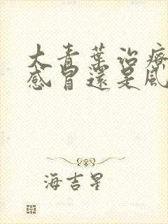 大青叶治疗风寒感冒还是风热感冒