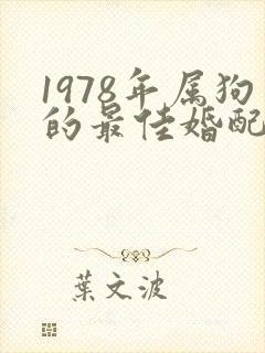 1978年属狗的最佳婚配属相