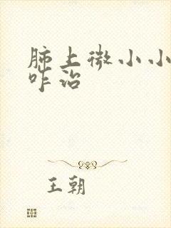 肺上微小小结节咋治