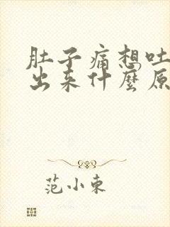 肚子痛想吐吐不出来什么原因