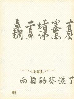 鼻子堵塞有黄粘稠鼻涕怎么办封面