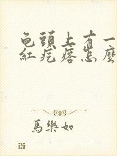 龟头上有一圈小红疙瘩怎么回事封面