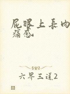 屁眼上长肉球有痛感