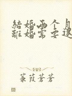 结婚两个月家暴离婚需要退彩礼吗