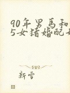 90年男马和95女猪婚配好吗