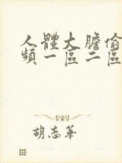 人体大胆偷拍视频一区二区