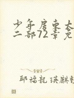 少年房东太太第二部72章免费阅读封面