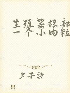 生殖器根部长了一个小肉粒封面