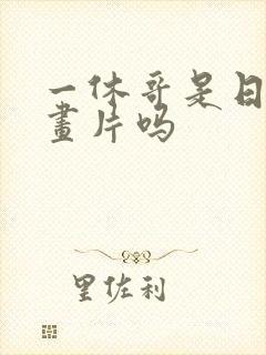 一休哥是日本动画片吗