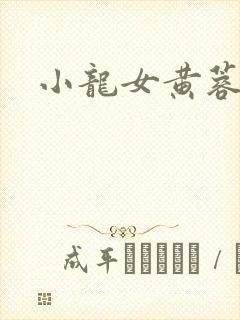 小龙女黄蓉h文