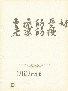 曹操的爱好别人老婆的梗