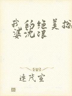 我的绝美总裁老婆沈浪