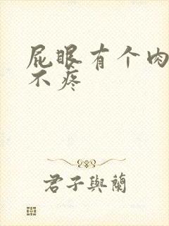 屁眼有个肉球但不疼