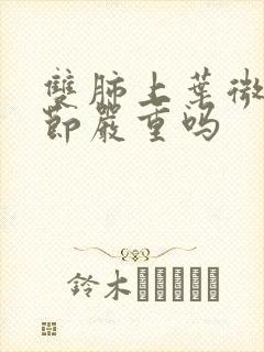 双肺上叶微小结节严重吗