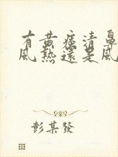 有黄痰清鼻涕是风热还是风寒