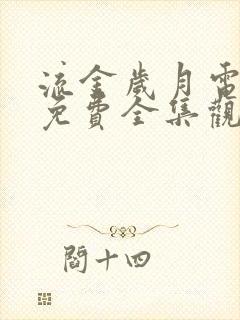 流金岁月电视剧免费全集观看