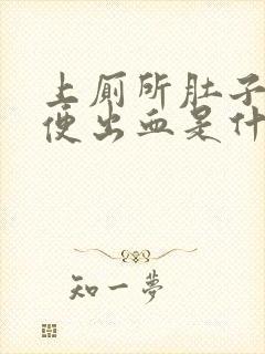 上厕所肚子痛大便出血是什么原因