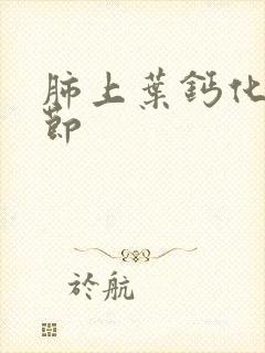 肺上叶钙化小结节