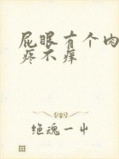 屁眼有个肉球不疼不痒封面