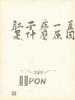 肚子疼一直拉屎是什么原因