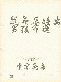 鼠年辰时出生的男孩命运