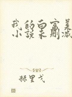 我的白富美老婆小说未删减版