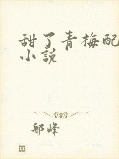 甜了青梅配竹马小说