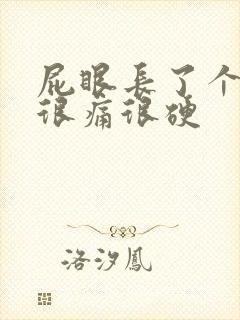 屁眼长了个疙瘩很痛很硬封面