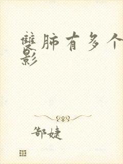 双肺有多个结节影