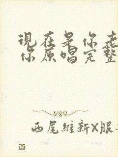 现在是你老了是你原唱完整版