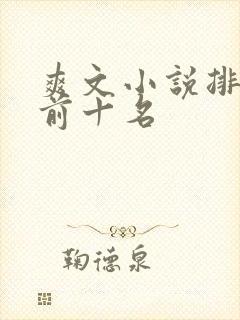爽文小说排行榜前十名封面