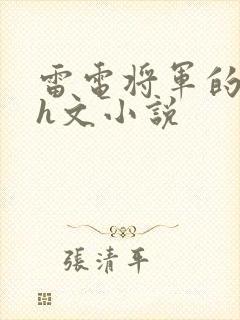 雷电将军的堕落h文小说