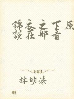 锦衣之下原著小说在哪看封面