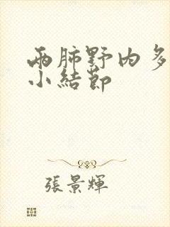 两肺野内多发微小结节封面