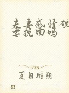 夫妻感情破裂需要挽回吗封面