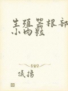 生殖器根部有个小肉粒