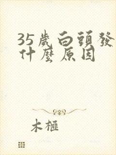 35岁白头发是什么原因封面