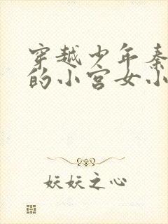 穿越少年秦始皇的小宫女小说封面