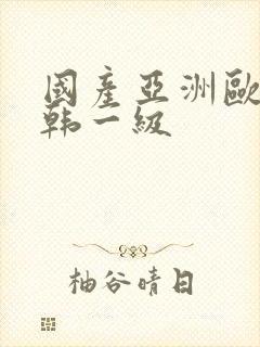 国产亚洲欧美日韩一级