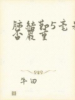 肺结节5毫米是否严重